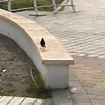 Piso Costa Malaga